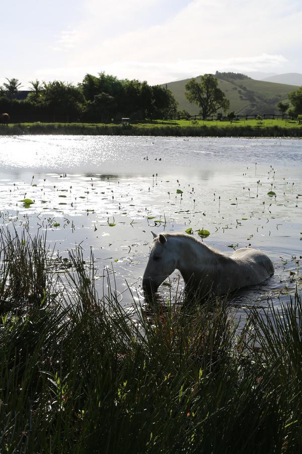 Hakuna Matata Game Farm Great Brak River Exterior foto