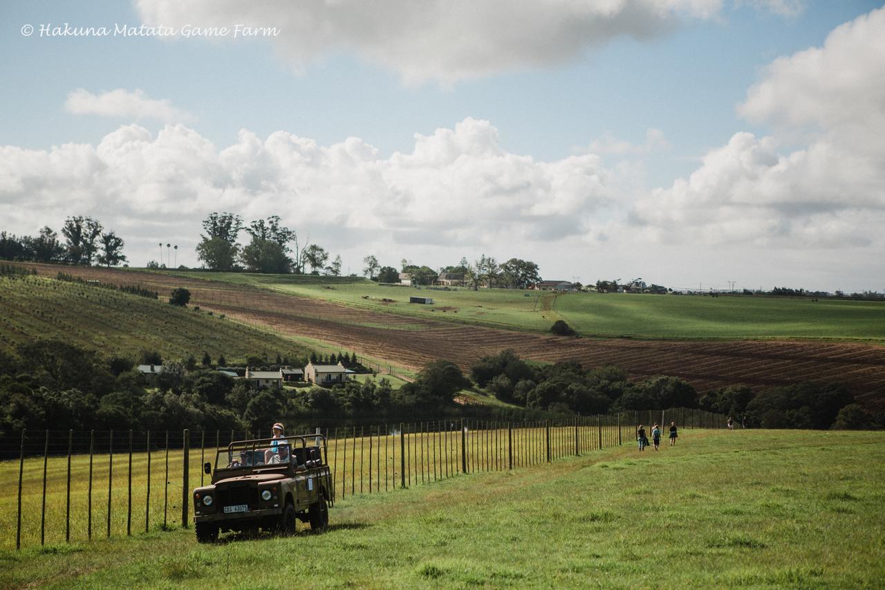 Hakuna Matata Game Farm Great Brak River Exterior foto