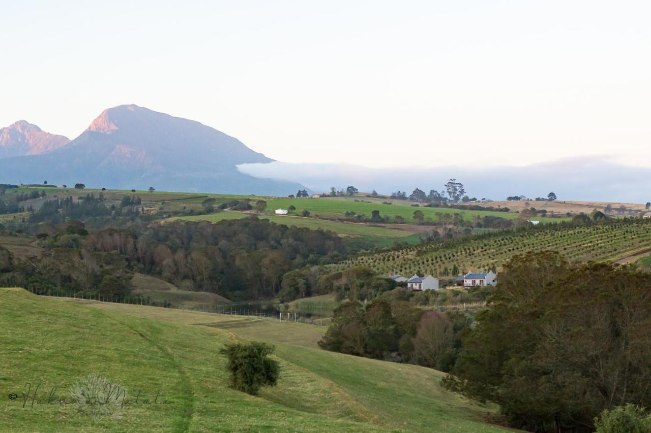 Hakuna Matata Game Farm Great Brak River Exterior foto