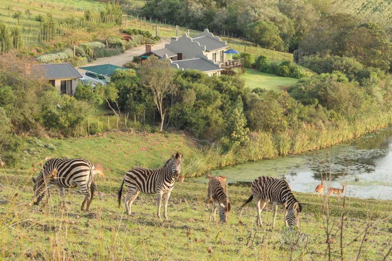 Hakuna Matata Game Farm Great Brak River Exterior foto